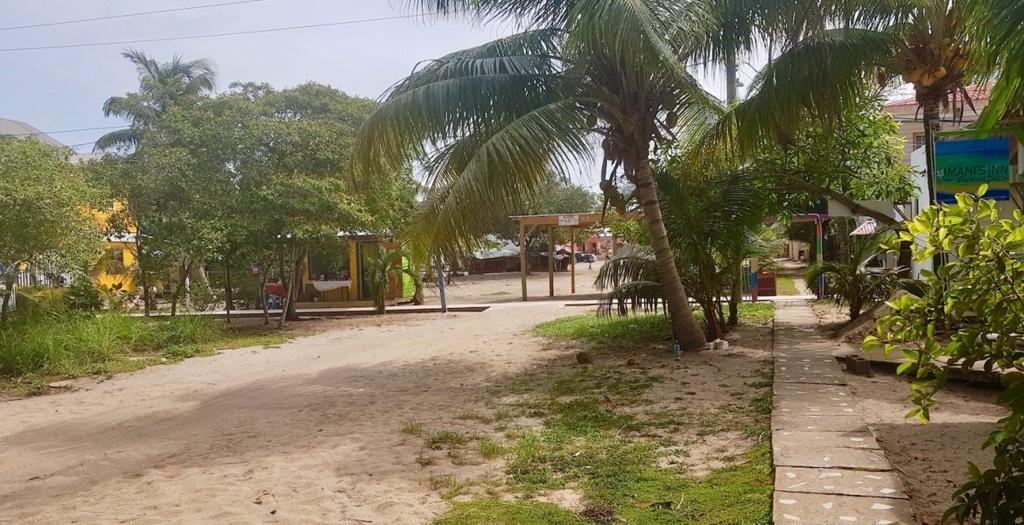 listing image with ID 52486