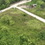 listing image thumbnail with ID 52755