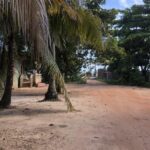 listing image thumbnail with ID 54057