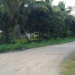 listing image thumbnail with ID 54189