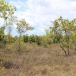 listing image thumbnail with ID 53960