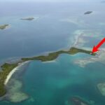 listing image thumbnail with ID 55259