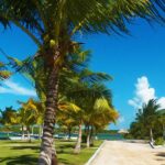 listing image thumbnail with ID 51829