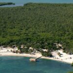 listing image thumbnail with ID 52628