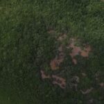 listing image thumbnail with ID 53634