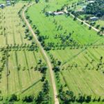 listing image thumbnail with ID 54209