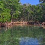 listing image thumbnail with ID 53952