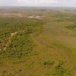 listing image thumbnail with ID 53236