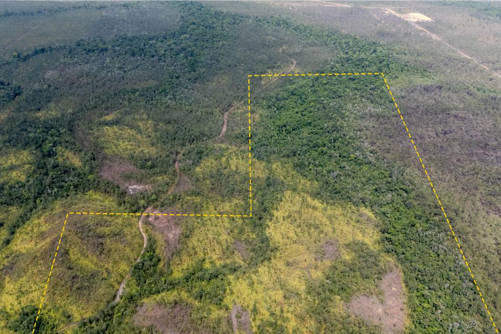listing image with ID 51779