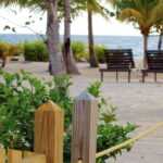 listing image thumbnail with ID 54568