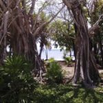 listing image thumbnail with ID 54255