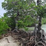 listing image thumbnail with ID 53840