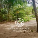 listing image thumbnail with ID 52484