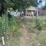 listing image thumbnail with ID 54360