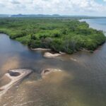 listing image thumbnail with ID 55746