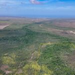 listing image thumbnail with ID 51770