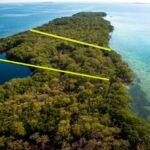 listing image thumbnail with ID 53689