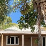 listing image thumbnail with ID 54250