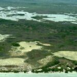 listing image thumbnail with ID 53541