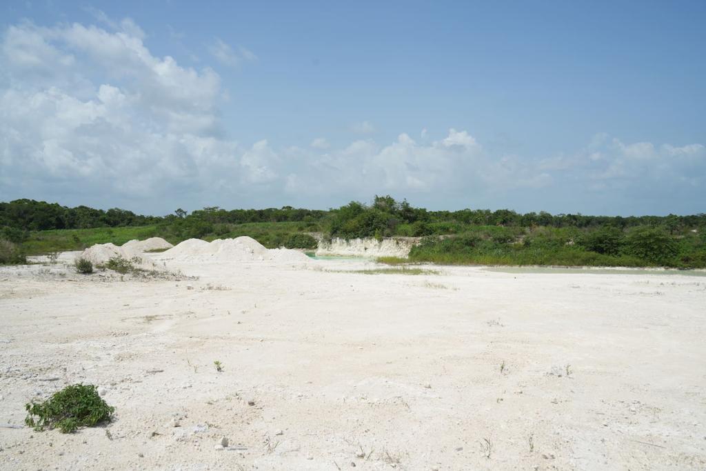 listing image with ID 56446