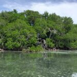 listing image thumbnail with ID 53841