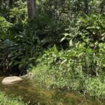 listing image thumbnail with ID 54125