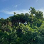 listing image thumbnail with ID 53765