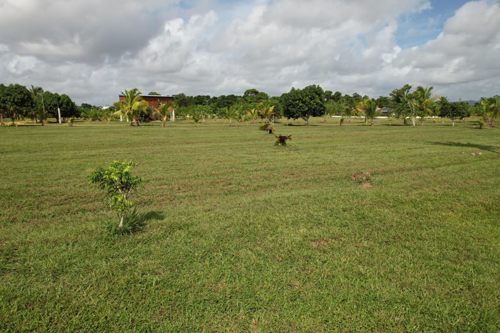 listing image with ID 54709