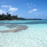 listing image thumbnail with ID 54295