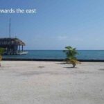 listing image thumbnail with ID 52629