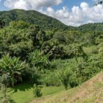 listing image thumbnail with ID 56200