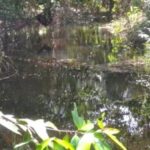 listing image thumbnail with ID 54076