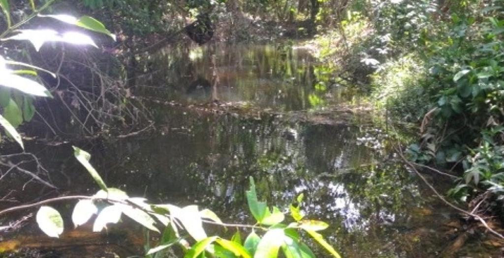 listing image with ID 54076