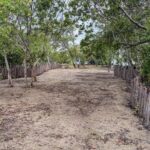 listing image thumbnail with ID 51566