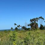 listing image thumbnail with ID 53766