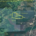 listing image thumbnail with ID 51781