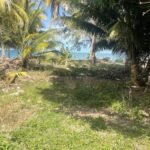 listing image thumbnail with ID 54690