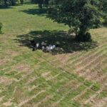 listing image thumbnail with ID 53664