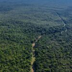 listing image thumbnail with ID 54163