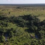 listing image thumbnail with ID 53360