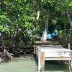 listing image thumbnail with ID 53844