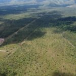 listing image thumbnail with ID 52301