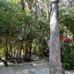 listing image thumbnail with ID 51464