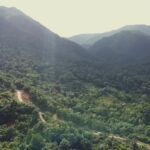 listing image thumbnail with ID 54481