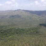 listing image thumbnail with ID 54344