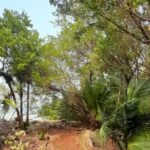 listing image thumbnail with ID 53835