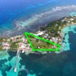 listing image thumbnail with ID 54593