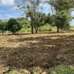 listing image thumbnail with ID 53460