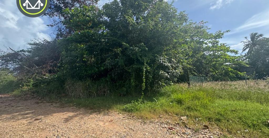 listing image with ID 53970
