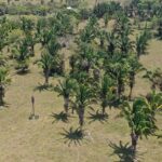 listing image thumbnail with ID 53663